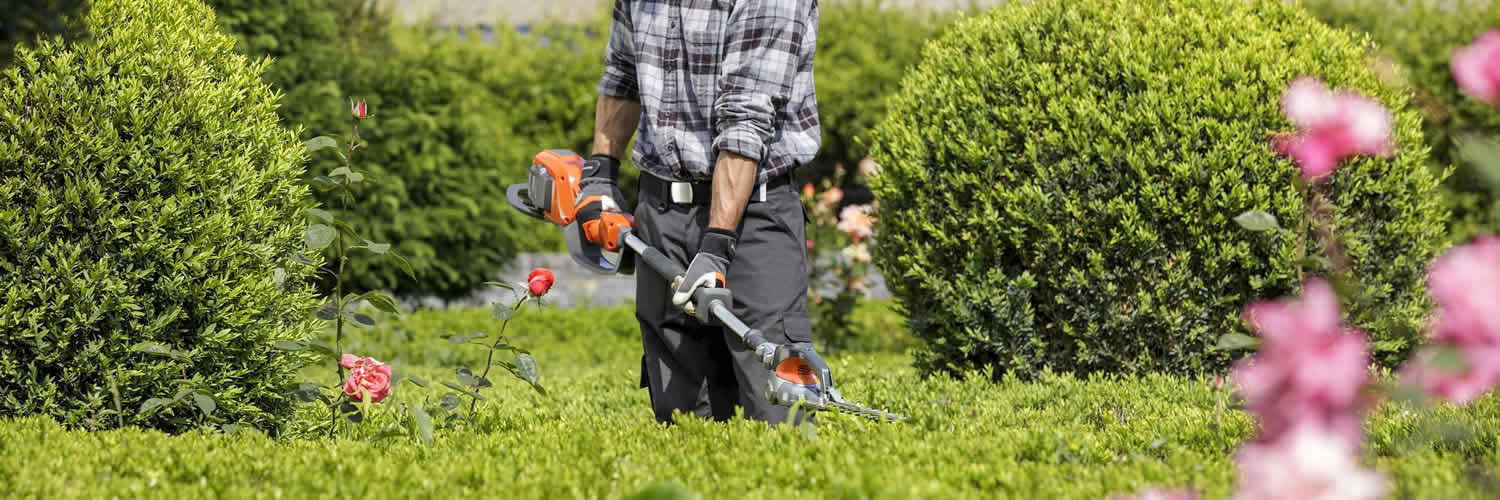 Artículos de jardinería y riego